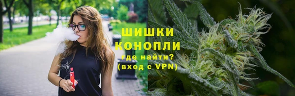 PSILOCYBIN Армянск