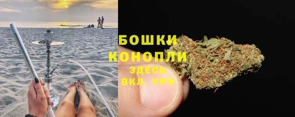 PSILOCYBIN Армянск