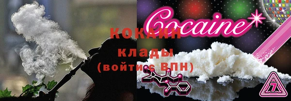 СК Арсеньев