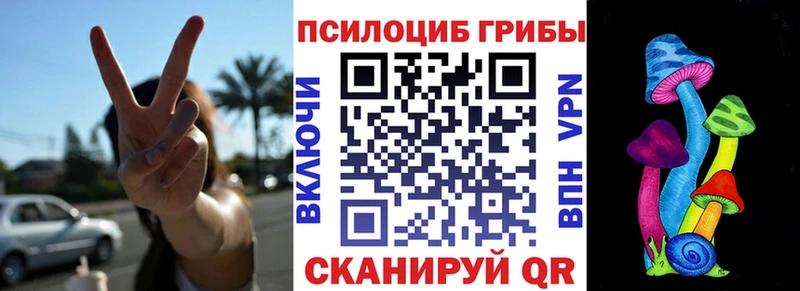 mega сайт  Снежногорск  Галлюциногенные грибы Psilocybe 